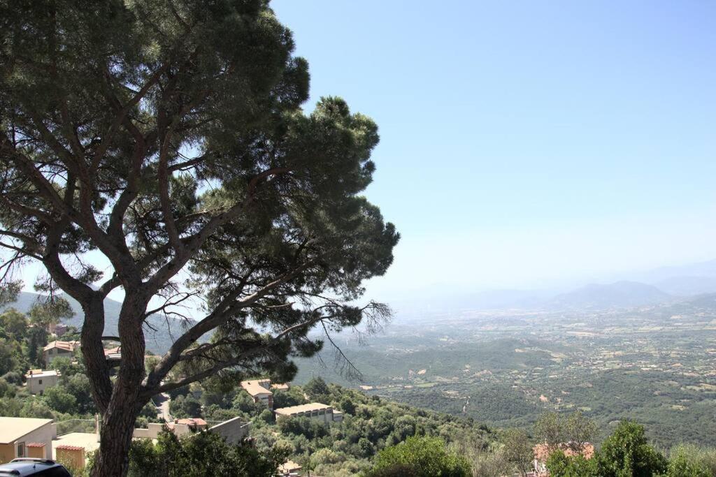 Montecolcau Panoramic View Apartman Baunei Kültér fotó